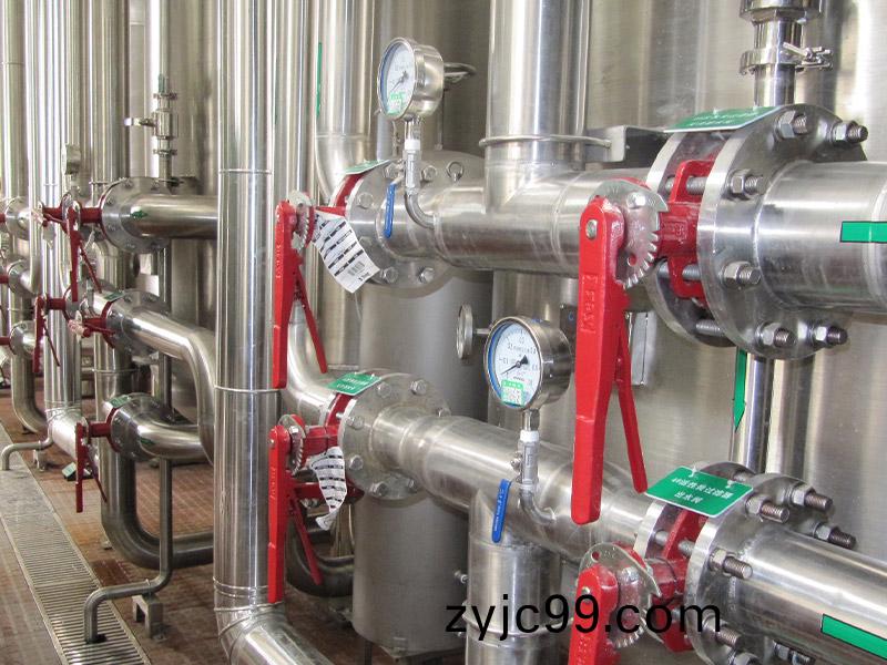 飲料廠20m3ph純水係(xi)統(tong)