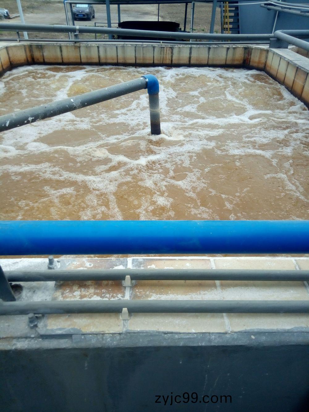 廣州(zhou)某某油(you)脂(zhi)化工廢水(shui)處理