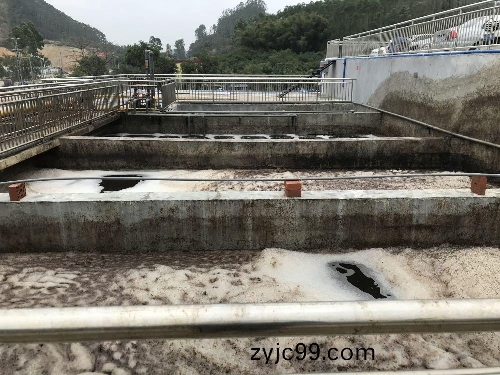 某(mou)某屠宰場(chang)項(xiang)目——500t屠(tu)宰(zai)廢水(shui)處(chu)理(li)係統