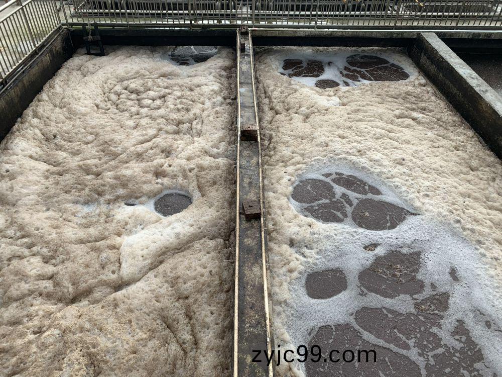 某(mou)某(mou)屠(tu)宰(zai)場項目(mu)——500t屠(tu)宰廢水(shui)處(chu)理係(xi)統(tong)