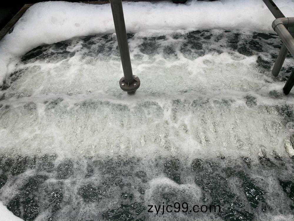 某某(mou)印(yin)染(ran)1000噸