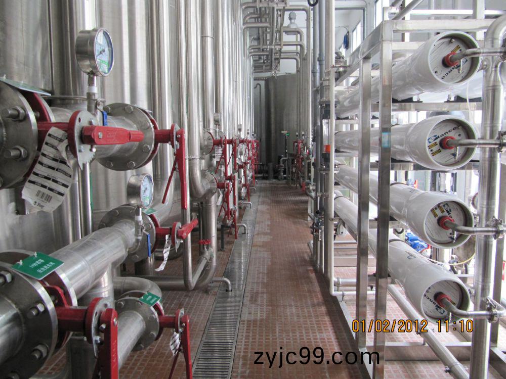 飲料廠(chang)20m3ph純(chun)水(shui)係統